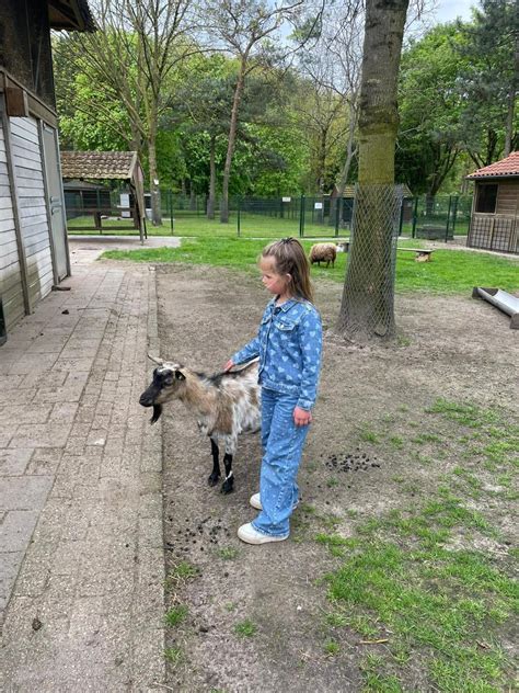 direboe|De leukste kinderboerderijen